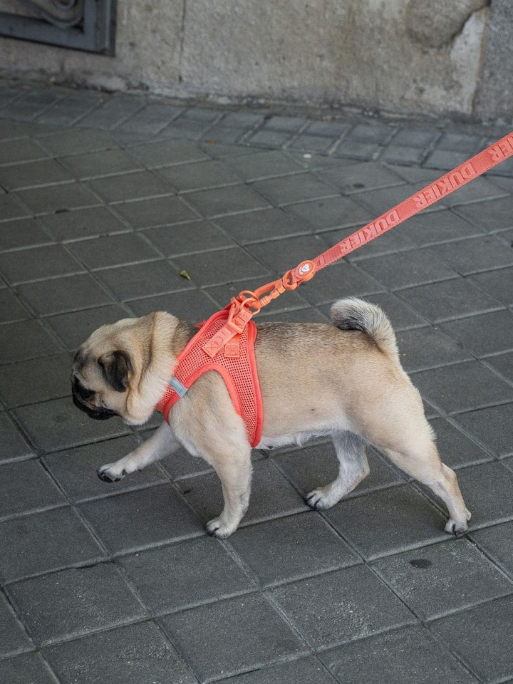 PETTORINA PER CANE BODY TANGERINE