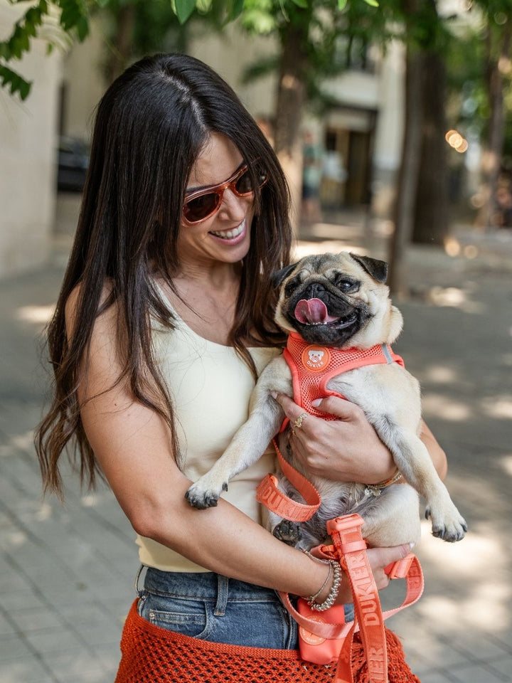 PETTORINA PER CANE BODY TANGERINE