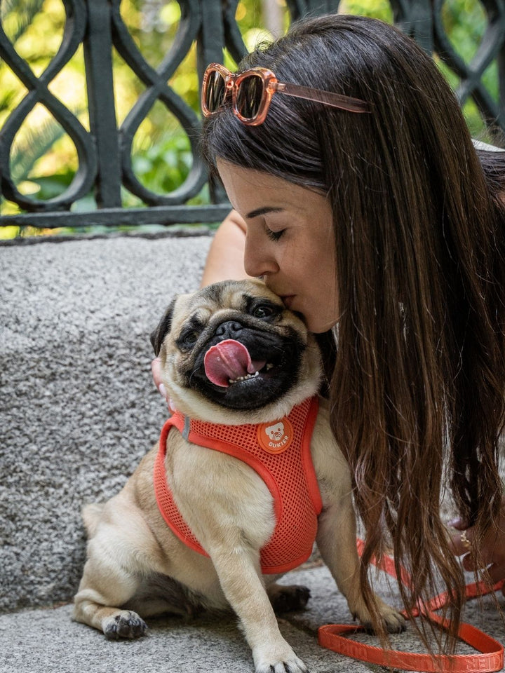 PETTORINA PER CANE BODY TANGERINE