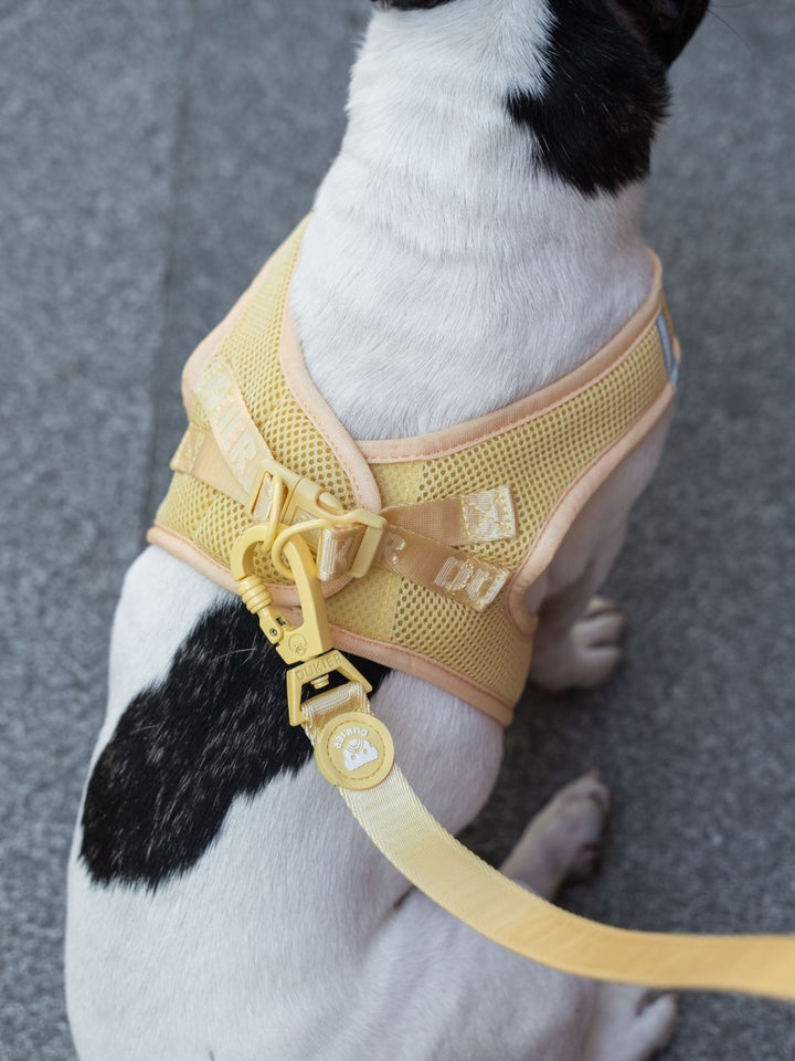 PETTORINA PER CANE BODY VANILLA