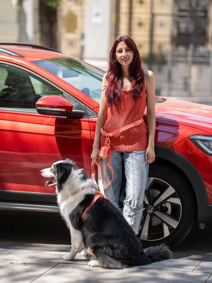 PETTORINA CLASSICA PER CANE TANGERINE