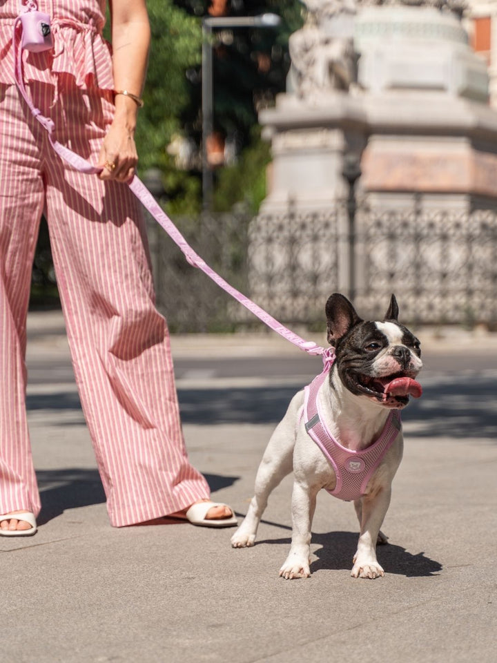 PETTORINA PER CANE BODY STRAWBERRY