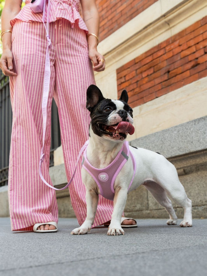 PETTORINA PER CANE BODY STRAWBERRY