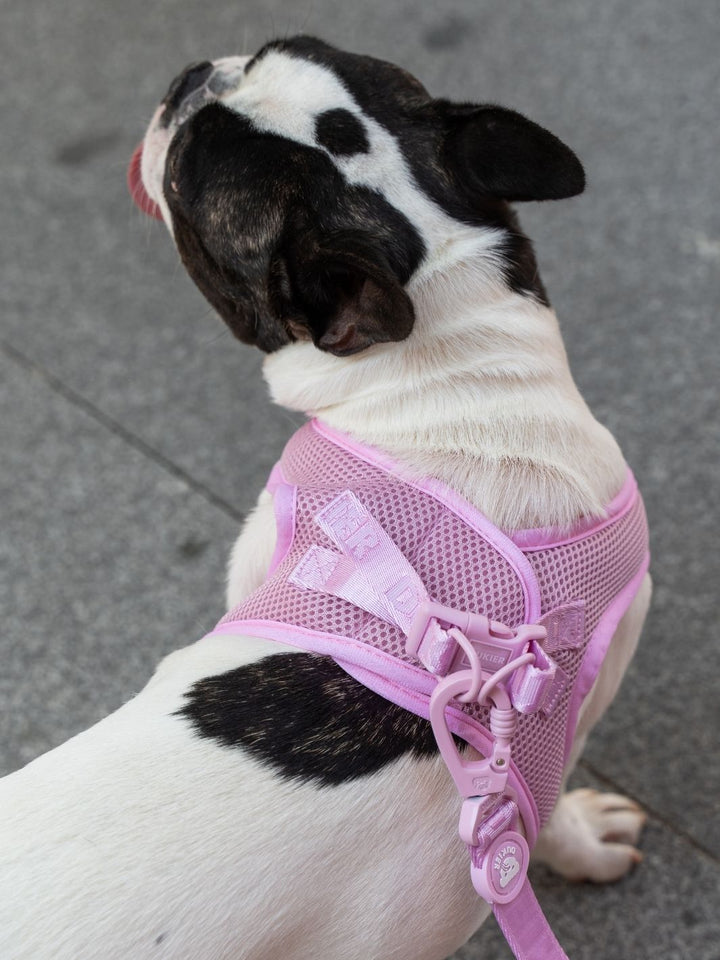 PETTORINA PER CANE BODY STRAWBERRY