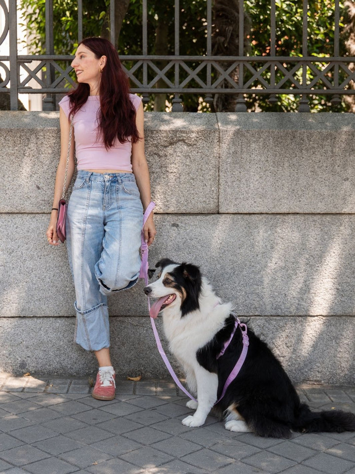 PETTORINA CLASSICA PER CANE STRAWBERRY