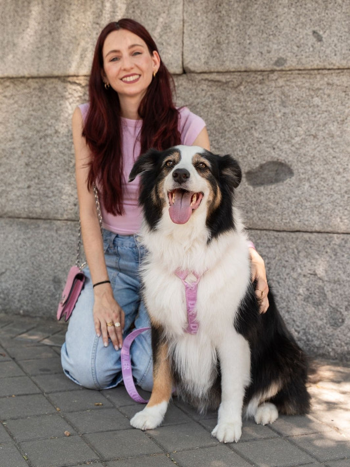 PETTORINA CLASSICA PER CANE STRAWBERRY