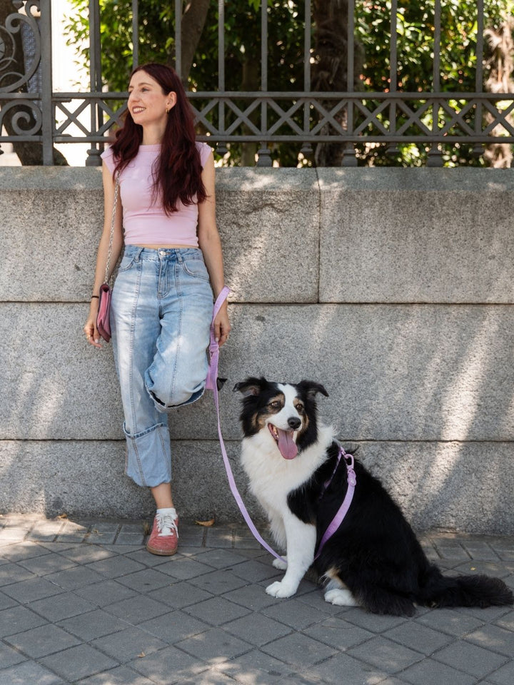 GUINZAGLIO PER CANI STRAWBERRY
