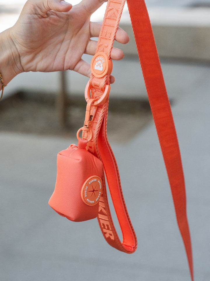 PORTA SACCHETTI PER CANE TANGERINE