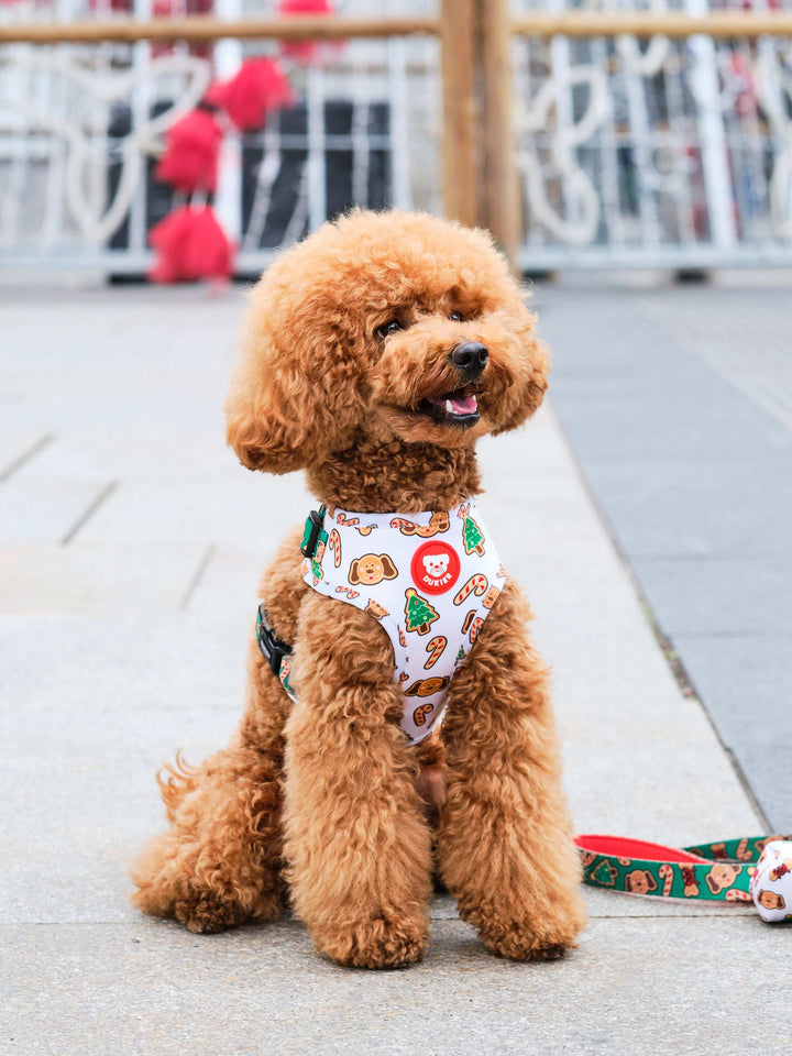 ARNÉS AJUSTABLE PARA PERRO GINGER BREAD