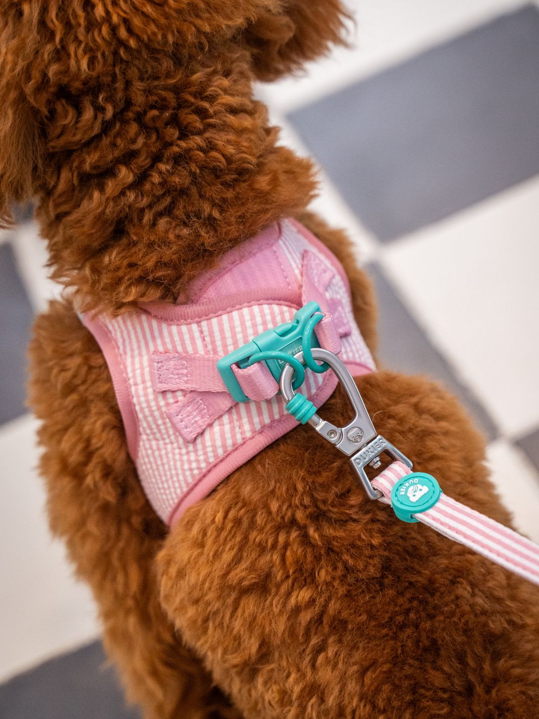 ARNÉS BODY PARA PERRO ICE CREAM