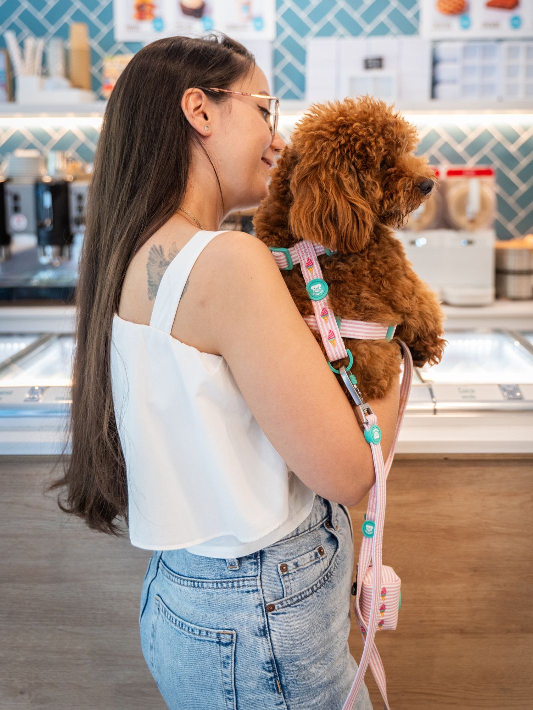 ARNÉS CLÁSICO PARA PERRO ICE CREAM