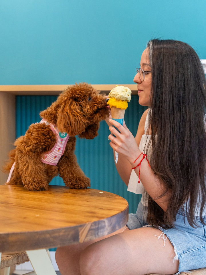 ARNÉS BODY PARA PERRO ICE CREAM