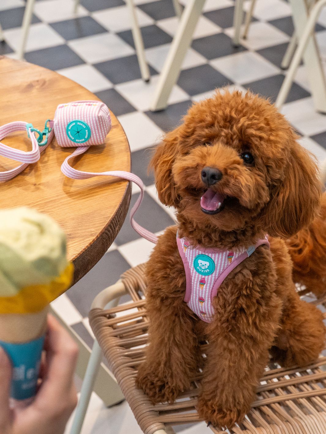 KOTBEUTELSPENDER ICE CREAM