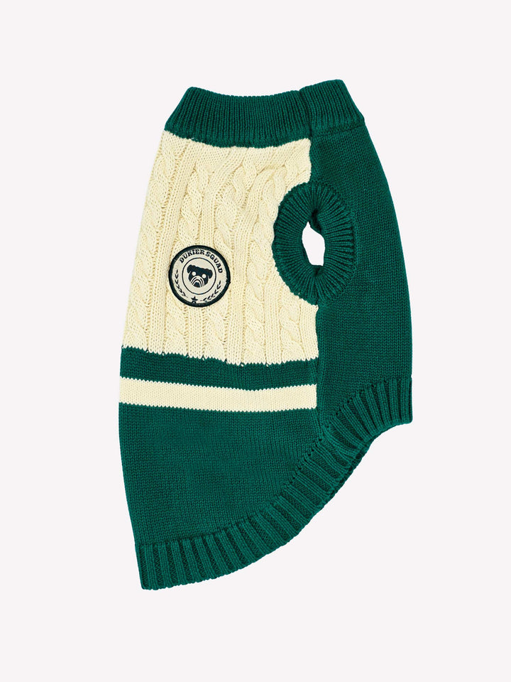 JERSEY PARA PERRO GREEN