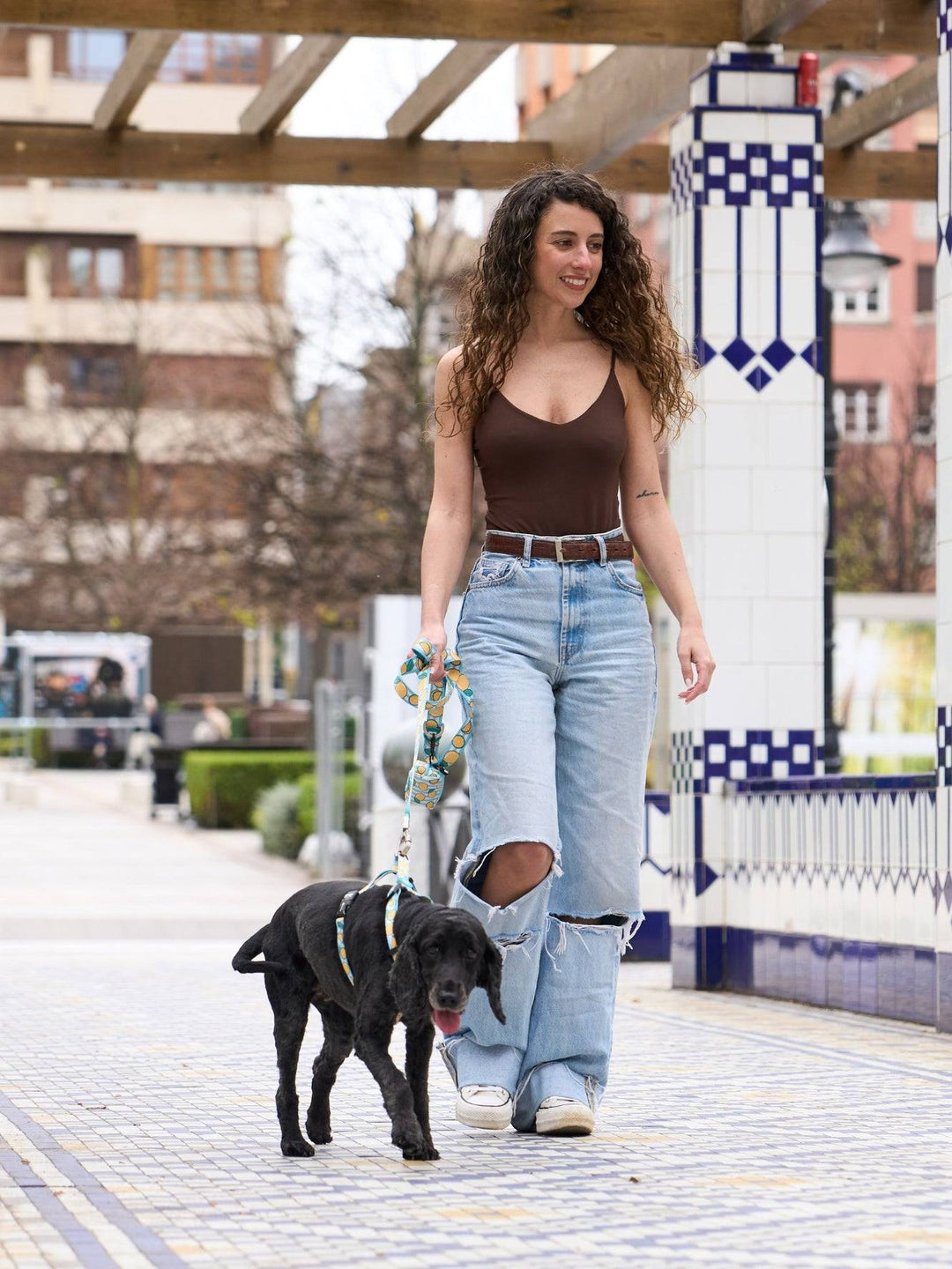 ARNÉS CLÁSICO PARA PERRO LEMONS