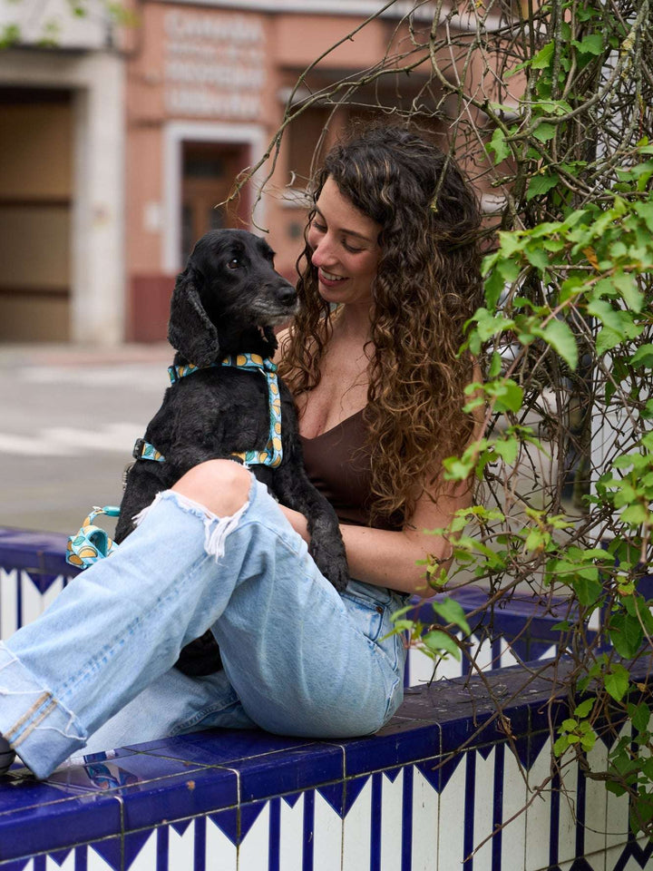 ARNÉS CLÁSICO PARA PERRO LEMONS
