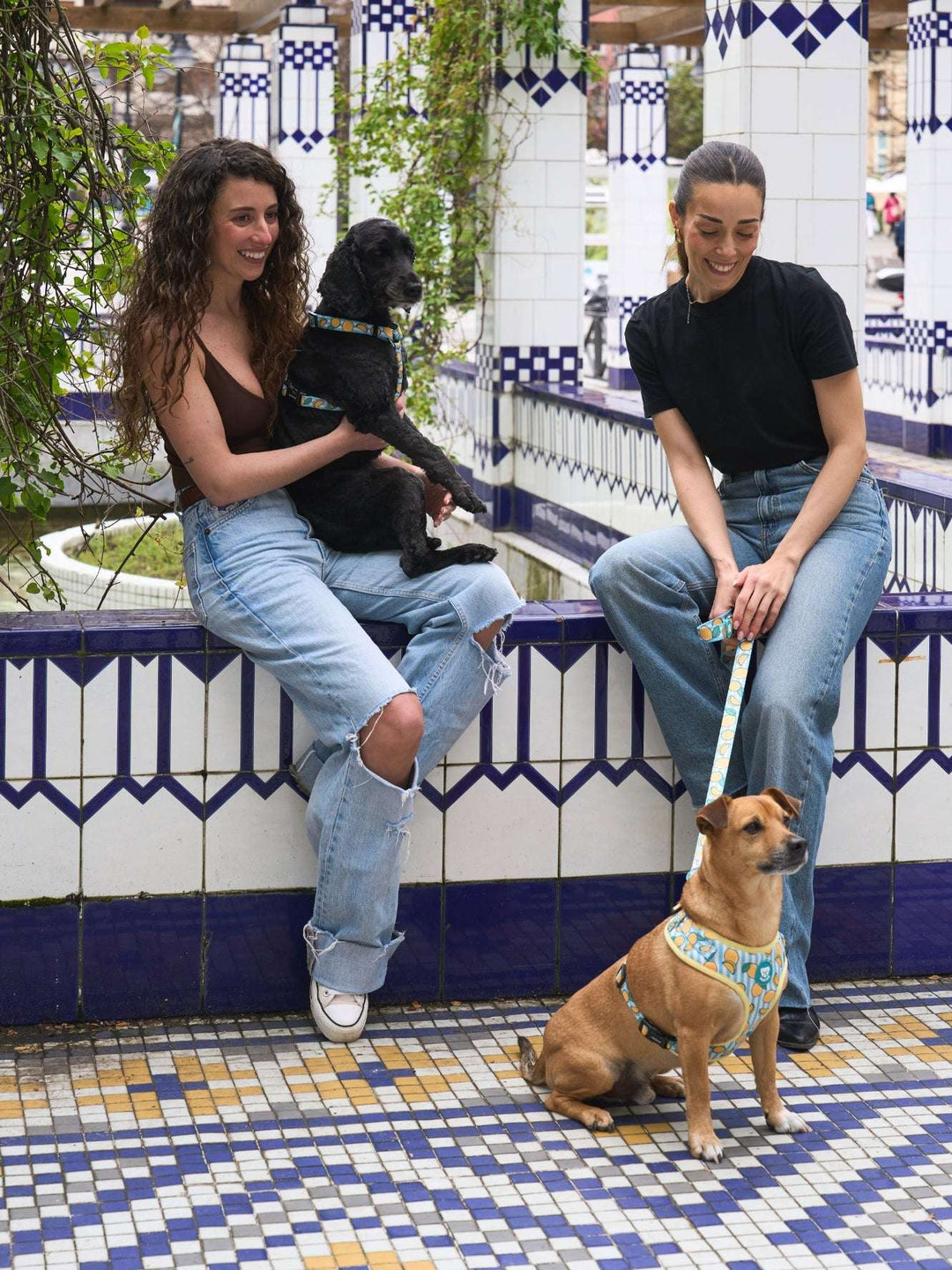 ARNES AJUSTABLE PARA PERRO LEMONS