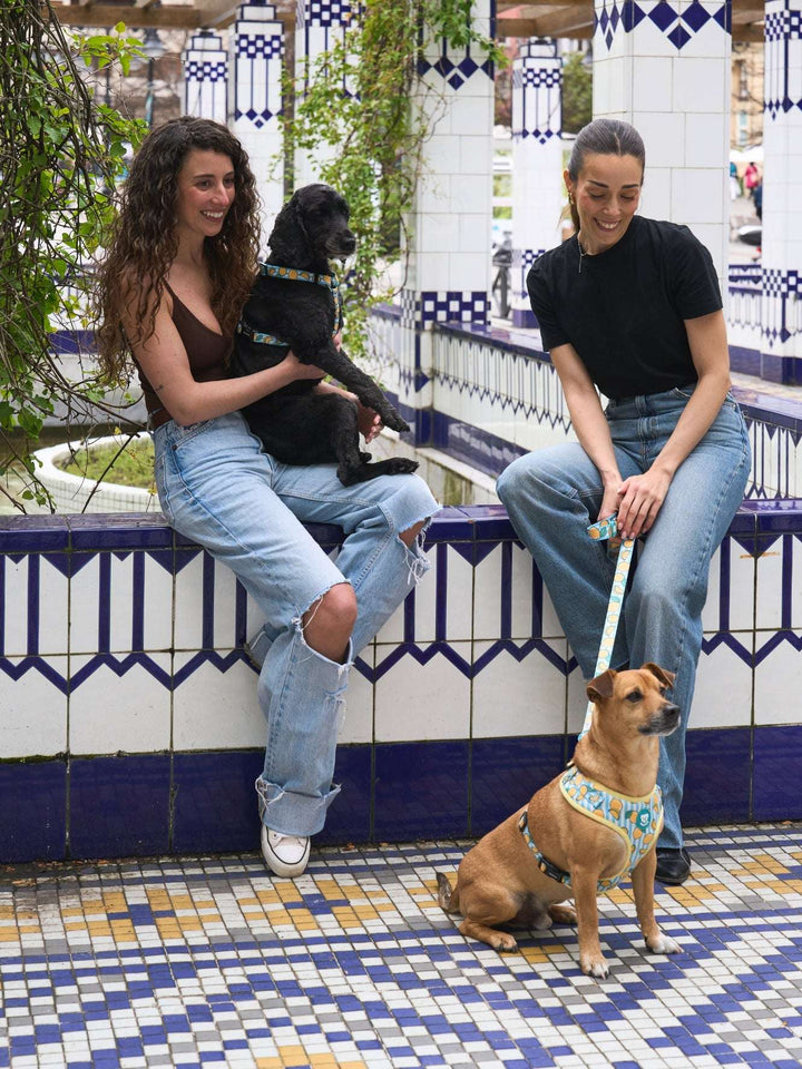 ARNES AJUSTABLE PARA PERRO LEMONS
