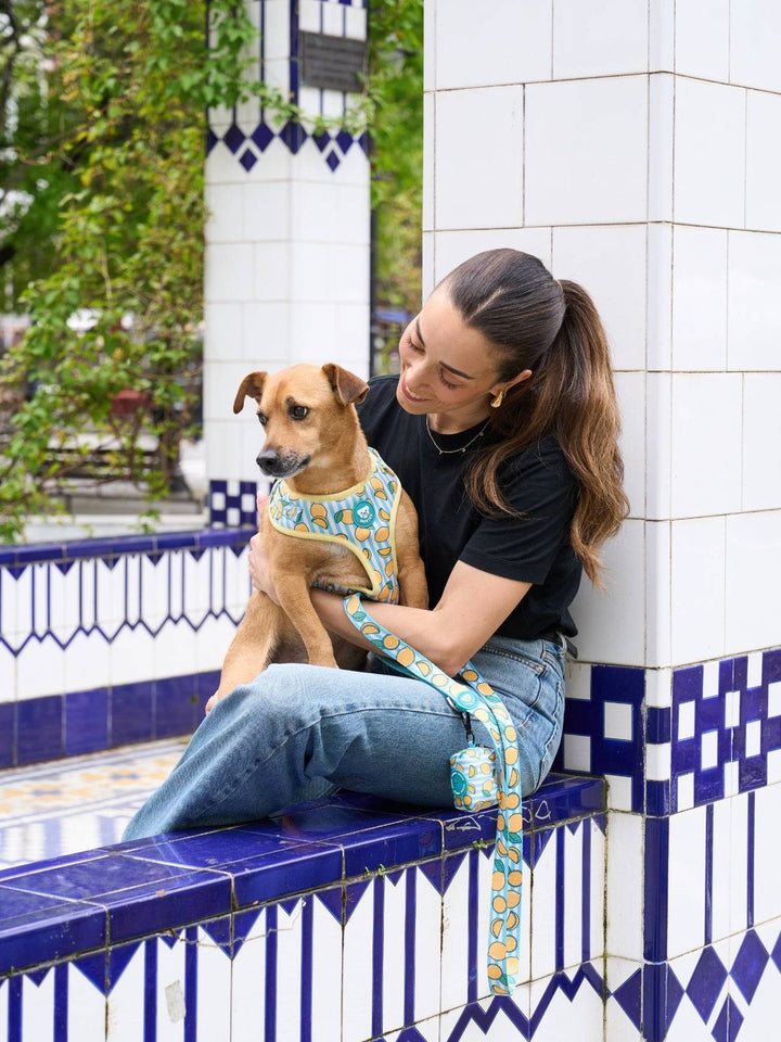 ARNES AJUSTABLE PARA PERRO LEMONS