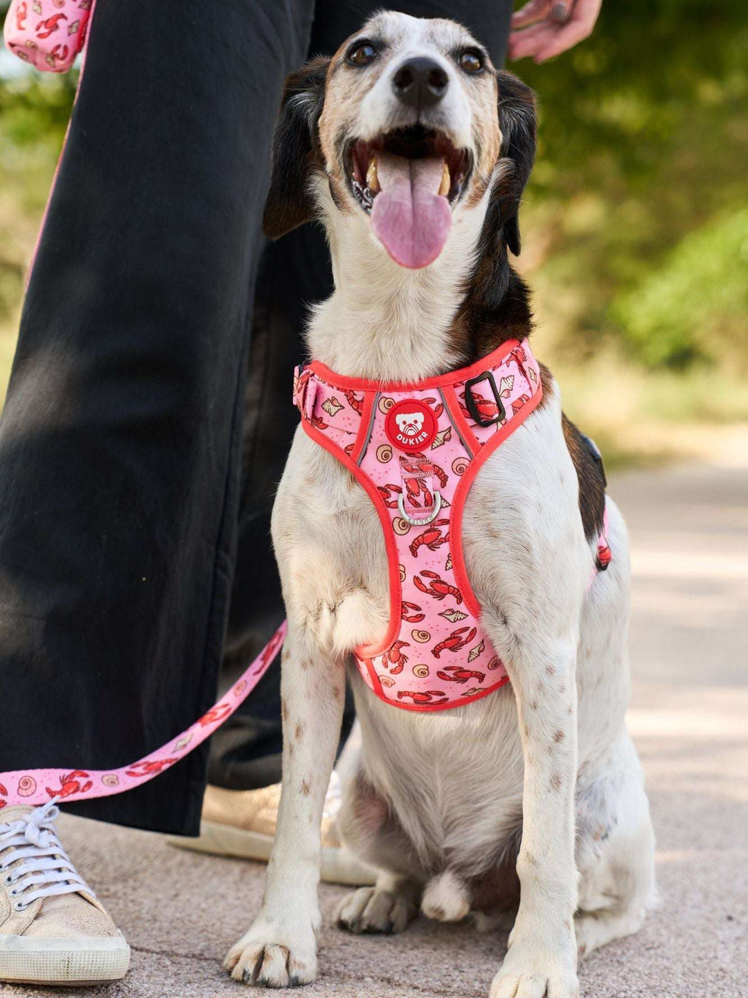 ARNES TRAIL PARA PERRO LOBSTERS