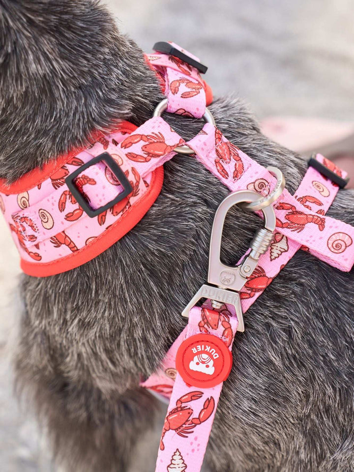 ARNES AJUSTABLE PARA PERRO LOBSTERS
