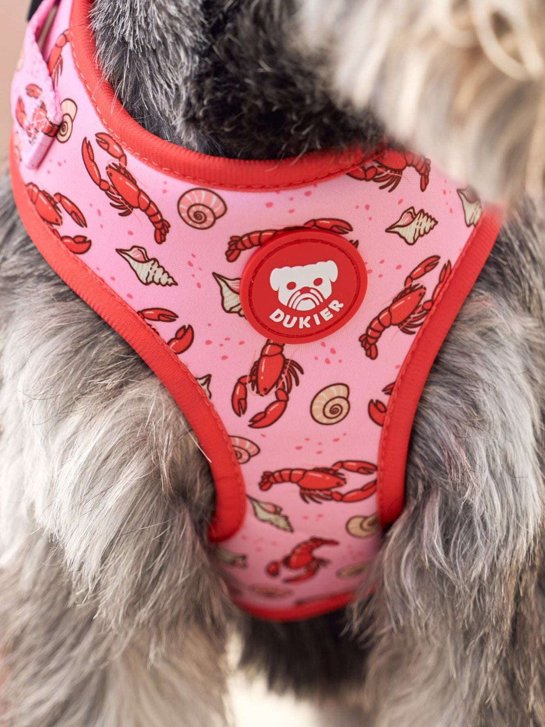 ARNES AJUSTABLE PARA PERRO LOBSTERS