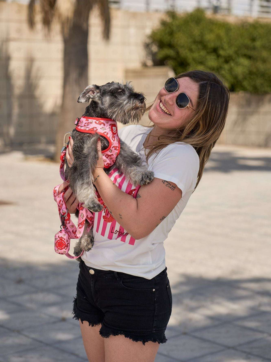 ARNES AJUSTABLE PARA PERRO LOBSTERS
