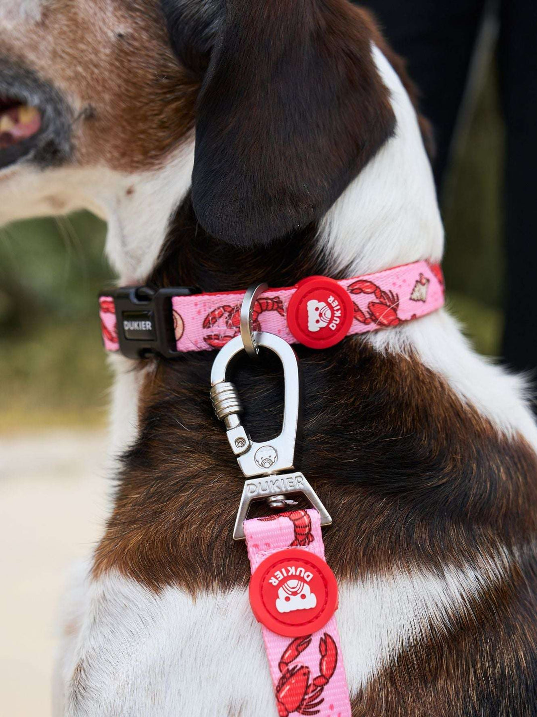 COLLAR PARA PERRO LOBSTERS