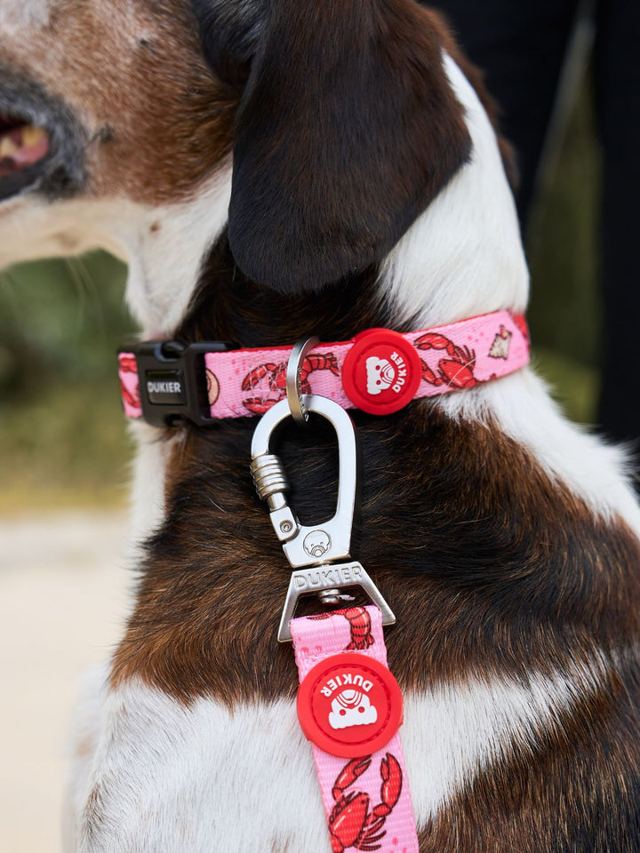 LOSTERS DOG COLLAR