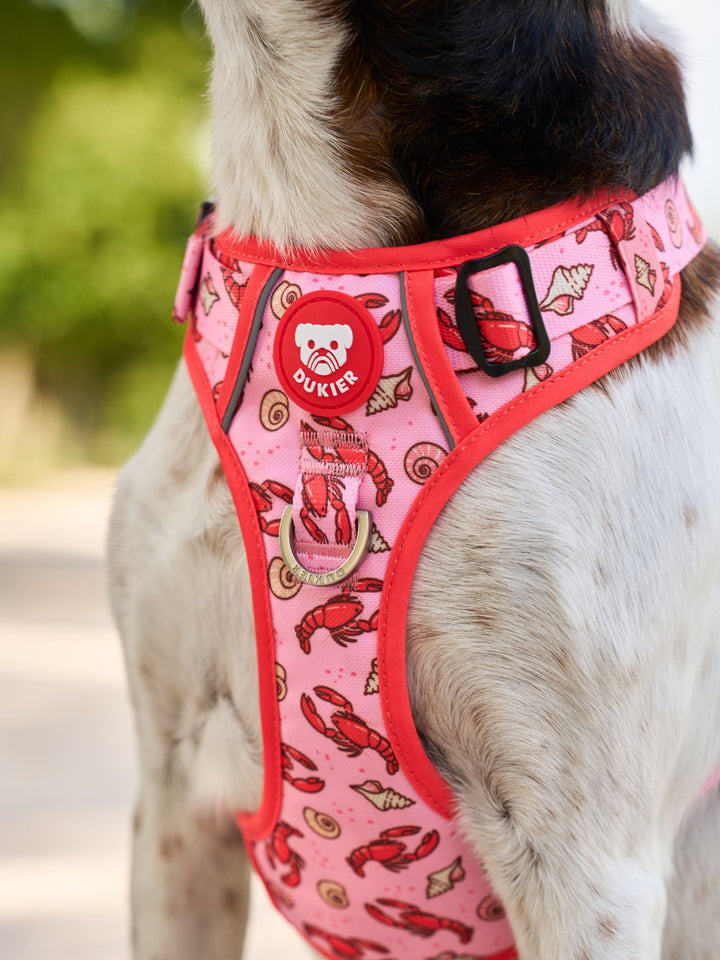 ARNES TRAIL PARA PERRO LOBSTERS