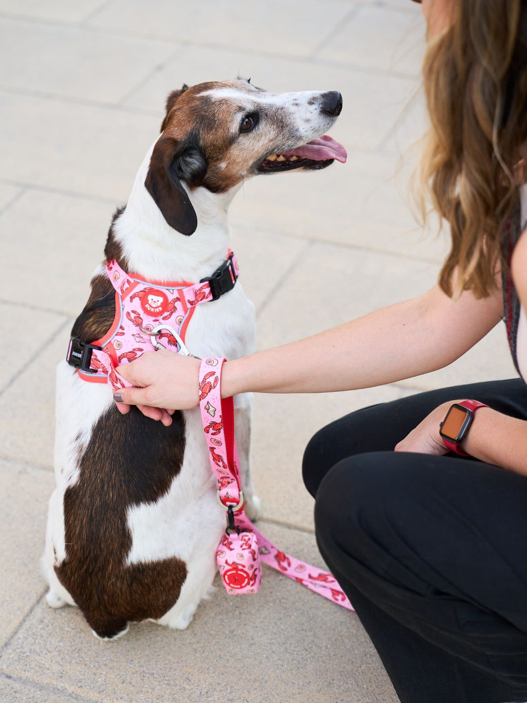 ARNES TRAIL PARA PERRO LOBSTERS