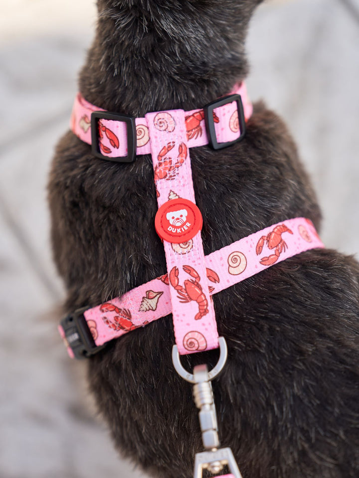 LOBSTERS CLASSIC DOG HARNESS