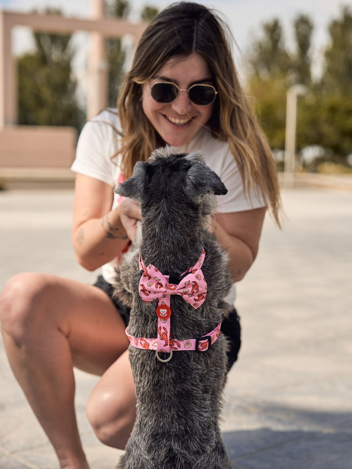 LOBSTERS CLASSIC DOG HARNESS