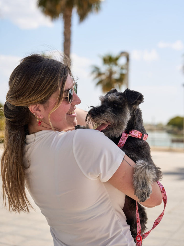 LOBSTERS CLASSIC DOG HARNESS