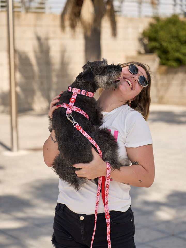 LOBSTERS CLASSIC DOG HARNESS