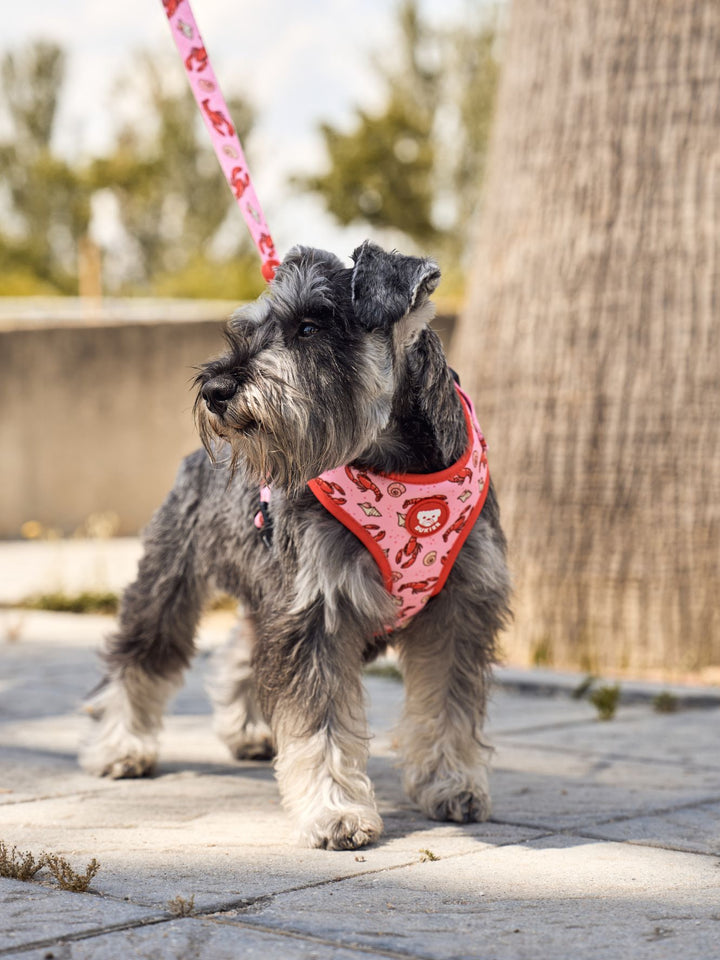LOBSTERS ADJUSTABLE DOG HARNESS