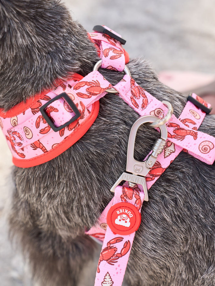LOBSTERS ADJUSTABLE DOG HARNESS