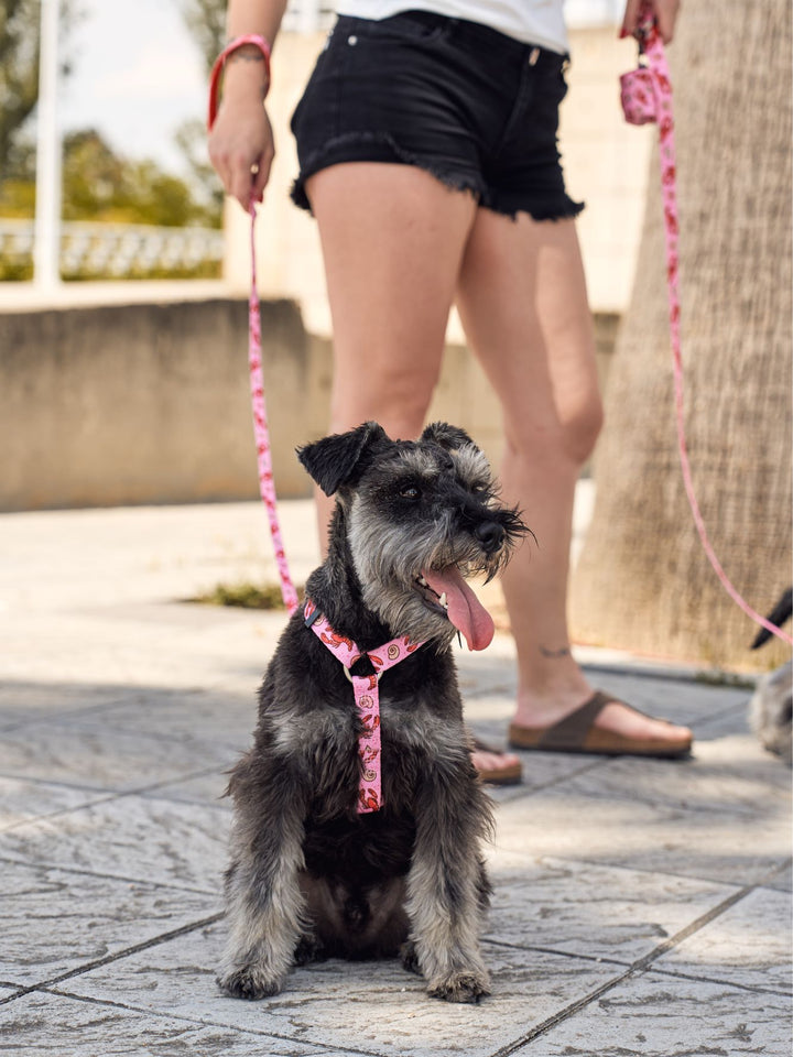 LOBSTERS CLASSIC DOG HARNESS