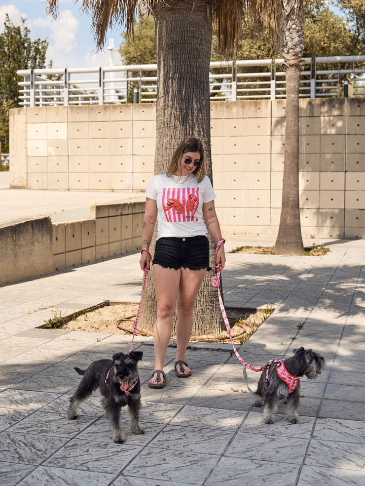 LOBSTERS CLASSIC DOG HARNESS