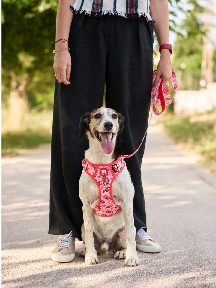 ARNES TRAIL PARA PERRO LOBSTERS
