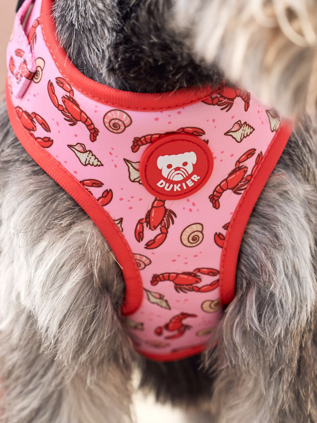 LOBSTERS ADJUSTABLE DOG HARNESS