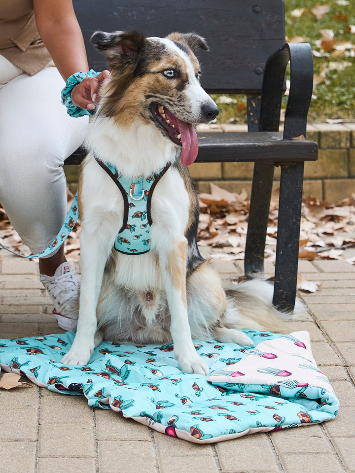 ROLL UP PET MAT: TURTLE