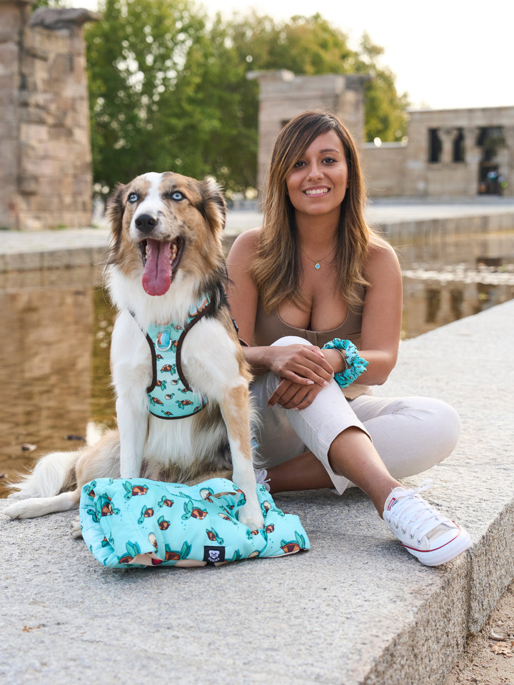 ROLL UP PET MAT: TURTLE