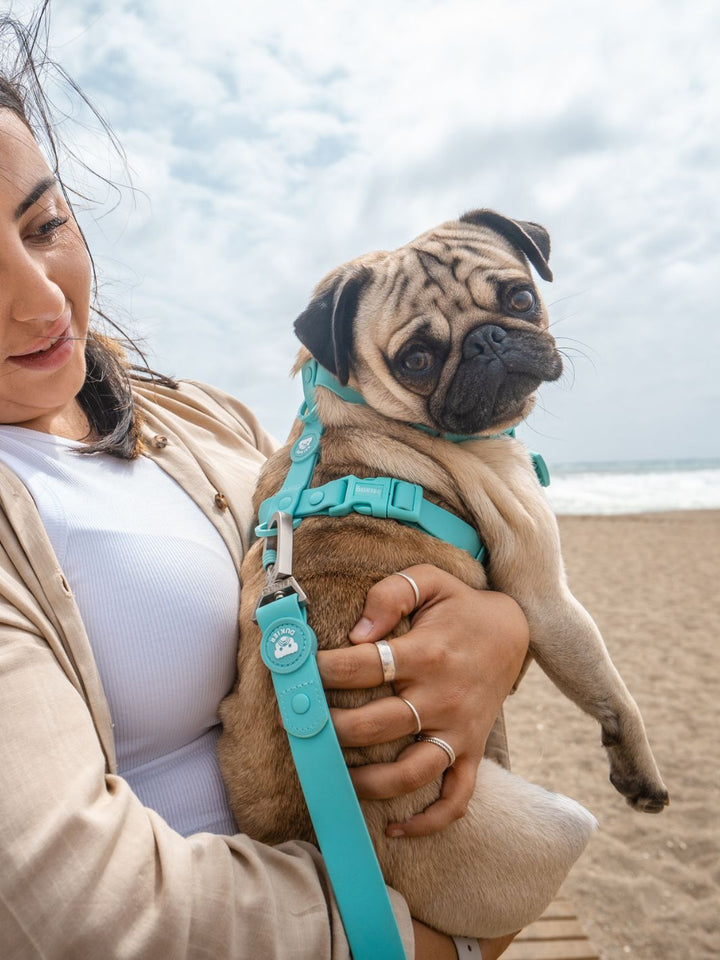 WATERPROOF LEASH FOR DOG MINT