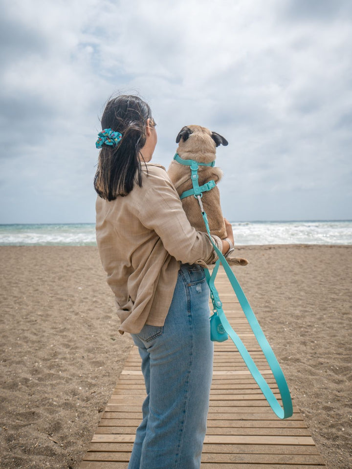 WATERPROOF LEASH FOR DOG MINT