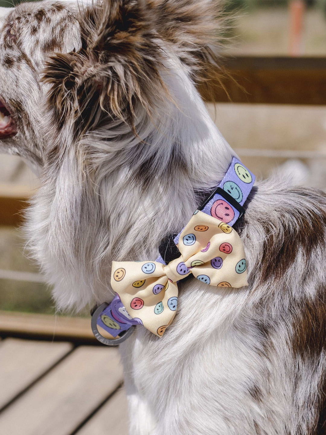 PAJARITA PARA PERRO SMILEY