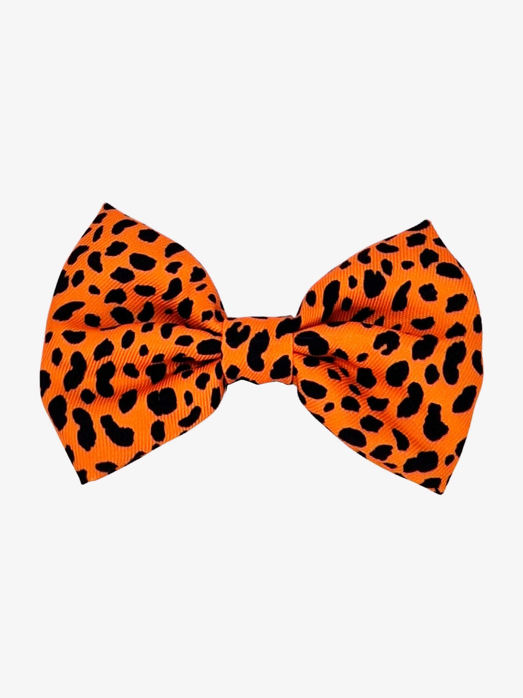 PAJARITA PARA PERRO CHEETAH GOLD