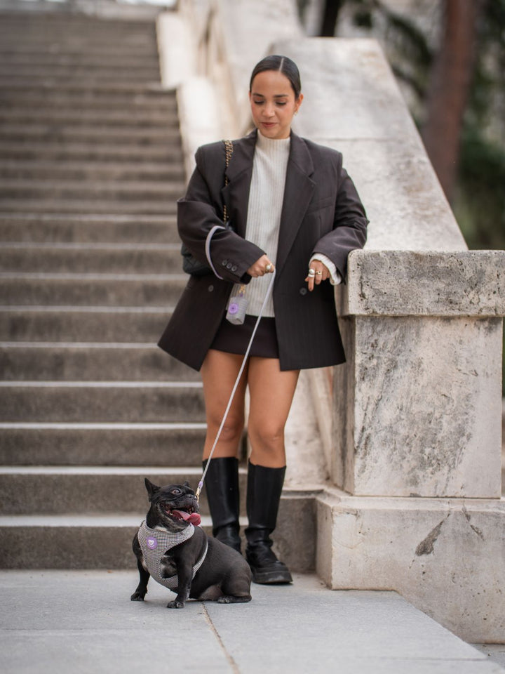 VERSTELLBARES HUNDEGESCHIRR PREPPY LILAC