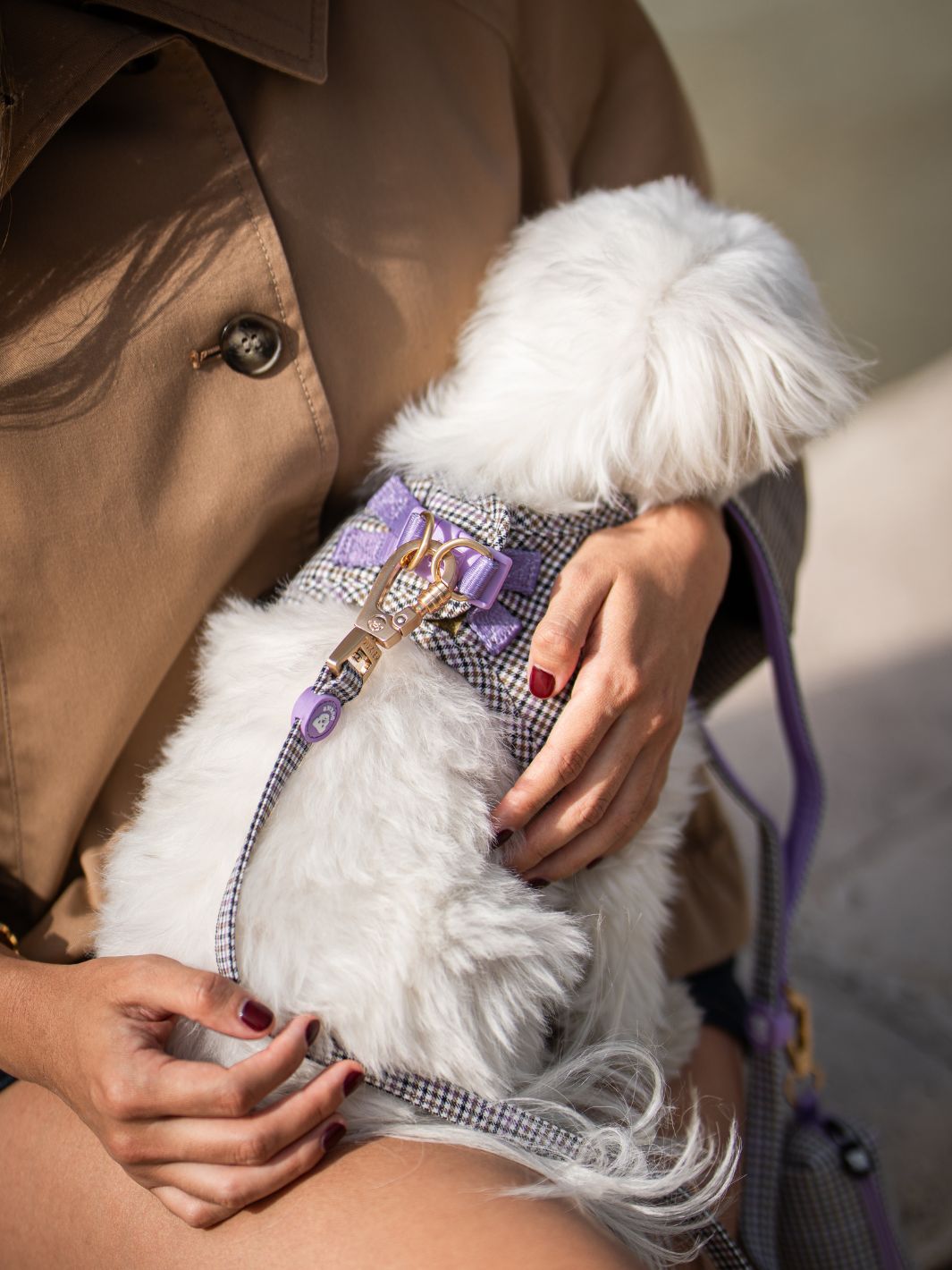 BODY HUNDEGESCHIRR PREPPY LILAC