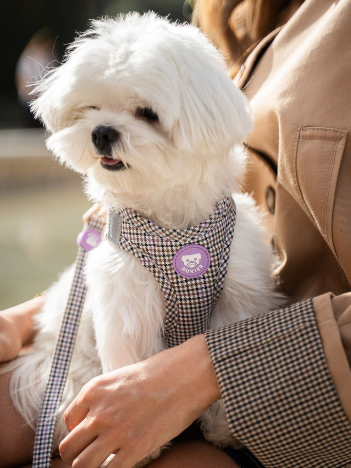 BODY HUNDEGESCHIRR PREPPY LILAC